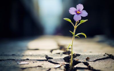 Descubriendo la Resiliencia: 50 tips Cómo Superar las Adversidades
